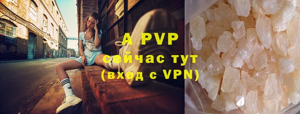 ALPHA PVP Иннополис